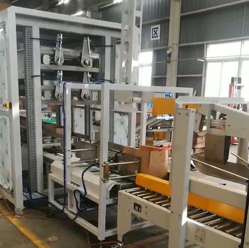 ZYL-ZX05自動食用油裝箱機(jī) 高效、可靠的跌落式裝箱自動化解決方案
