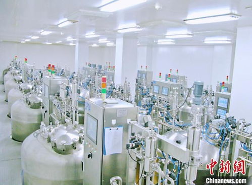 甘肅科研人三坎破堅(jiān)冰 自主創(chuàng)新實(shí)現(xiàn)動(dòng)物疫苗全產(chǎn)業(yè)鏈自給自足